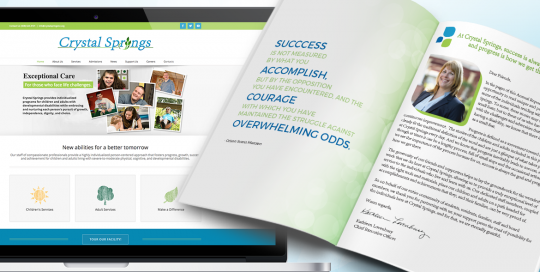 Crystqal Springs Annual Report and Home Page.